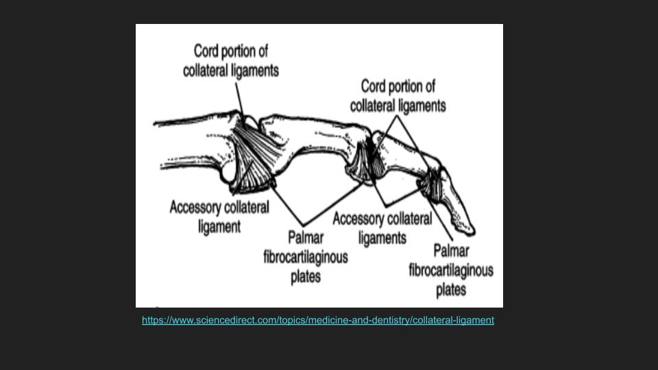 Figure 5 for case sprain ( RID4731 )